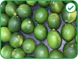 Fruit on a Flat Surface: This is a good match for the 'CountThings from Photos' app because the items are spread out with clear separation, making it easy for the AI to identify individual boundaries.