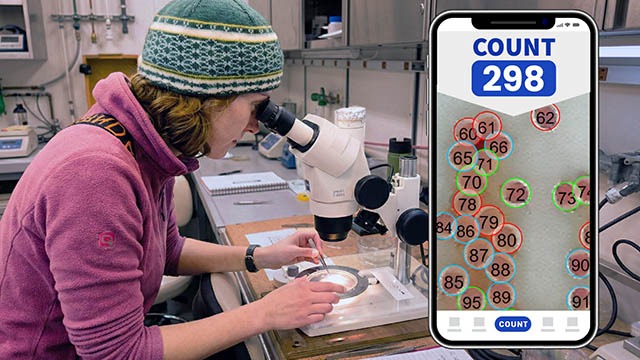A PhD researcher using the 'CountThings from Photos' app to count microscopic samples viewed through a laboratory microscope.